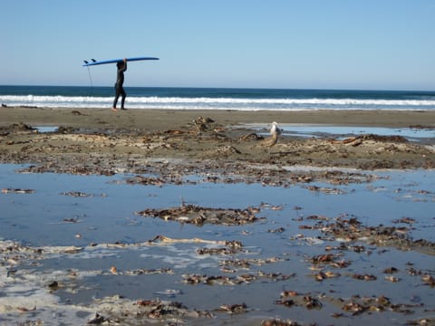 A surfer carrying his board on the beach at Morro Bay, California.
