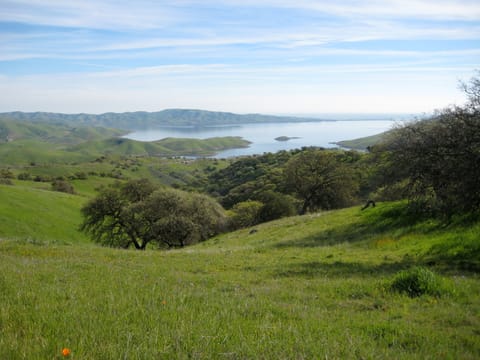 Green landscape in Pacheco State Park, California. I believe the body of water shown is the San Luis Reservoir.