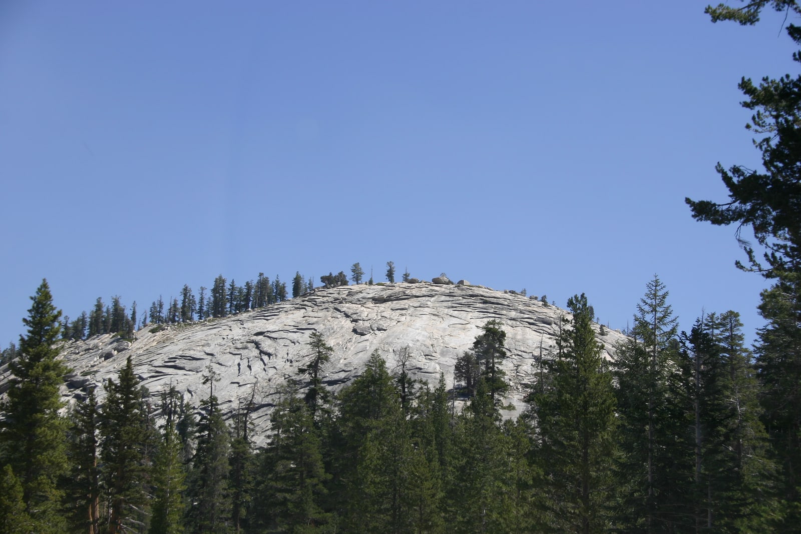 Strange and wonderful geology in the northern part of Yosemite National Park, from Hwy 120.