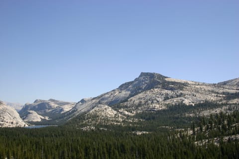 Wonderful geology in the northern part of Yosemite National Park, from Hwy 120. 