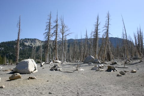 Natural CO2 emissions from a magma body beneath Mammoth Mountain asphyxiated more than 100 acres of trees near Horseshoe Lake in the early 1990s. 