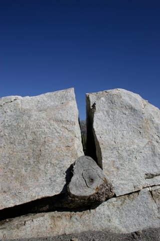 A log in the middle of a cracked boulder. 